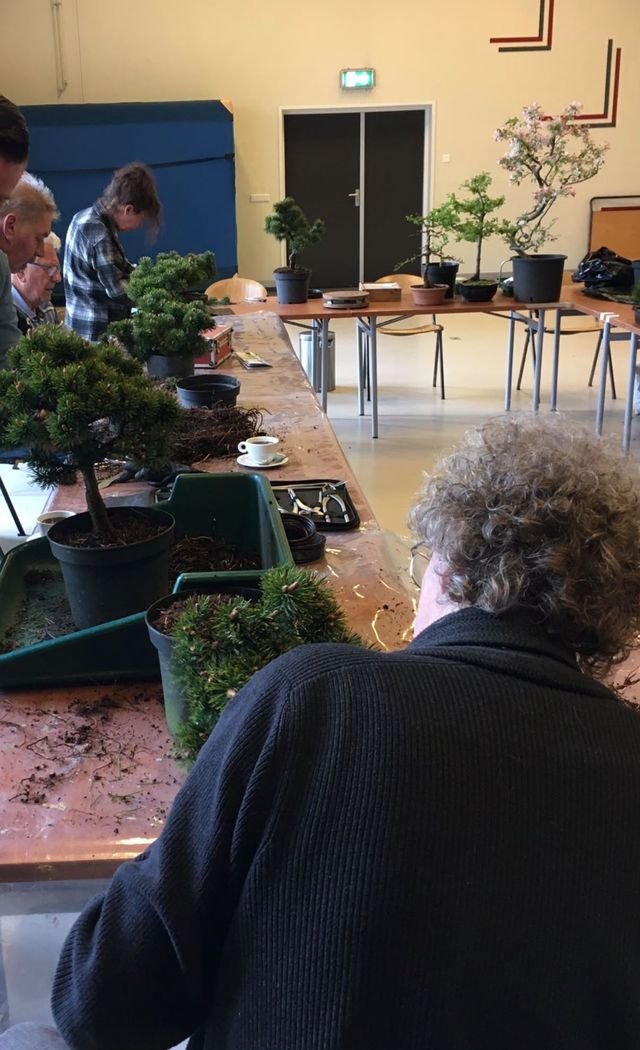 Leden werken aan dennen aan een lange tafel.