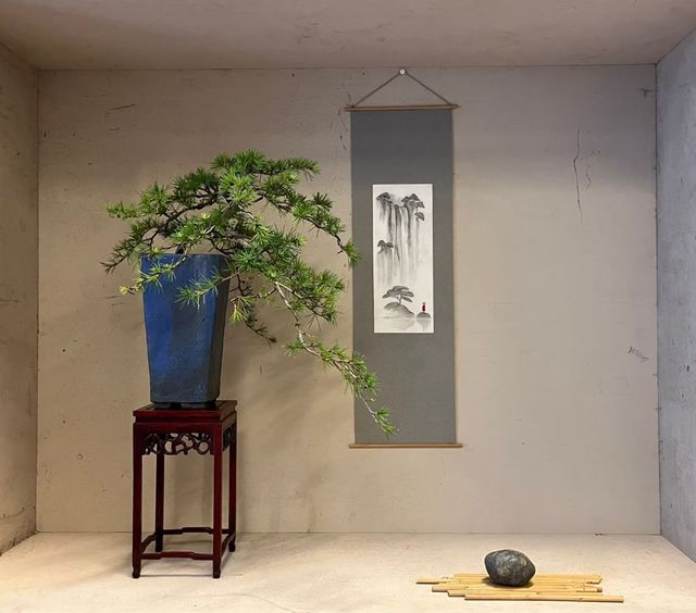 Tokonoma-opstelling: een ceder in een blauwe pot op een houten tafeltje, naast een hangende rol met een landschap en een steen op bamboe.