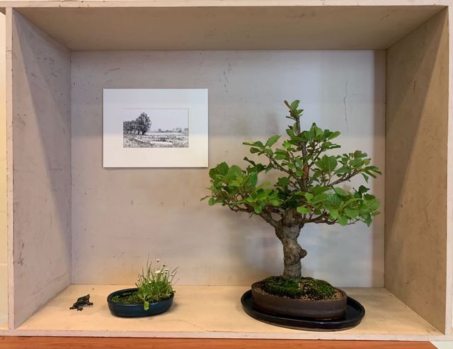 Tokonoma met een boom, een tekening van een landschap, een accentplantje en een bronzen kikker.