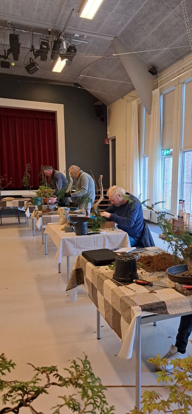 Leden werken geconcentreerd aan hun bomen aan lange tafels in een lichte zaal.